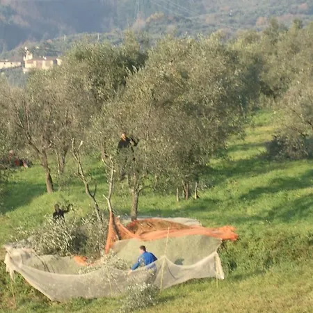 Feriehus Casale Toscana